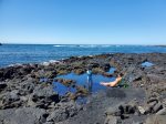 Sandy-bottom tide pools provide a fun and safe spot for little ones to play.